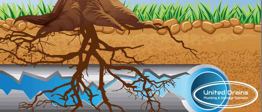 united drains drain lining london