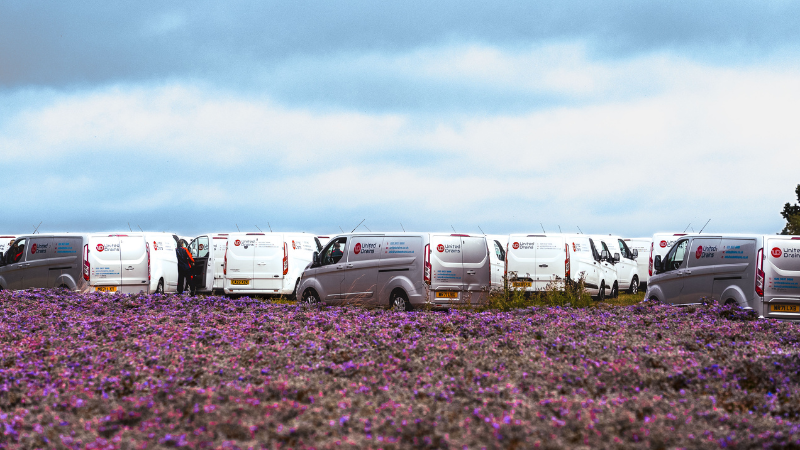 United Drains vans in a purple field