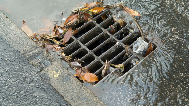 A roadside drain blocked with leaves, debris and standing water.